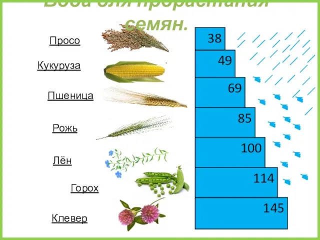 145 49 85 69 114 38 100 Кукуруза Пшеница Рожь Лён Горох