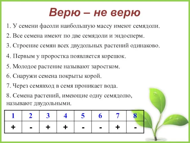 Верю – не верю