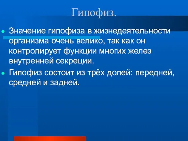 Гипофиз. Значение гипофиза в жизнедеятельности организма очень велико, так как он контролирует