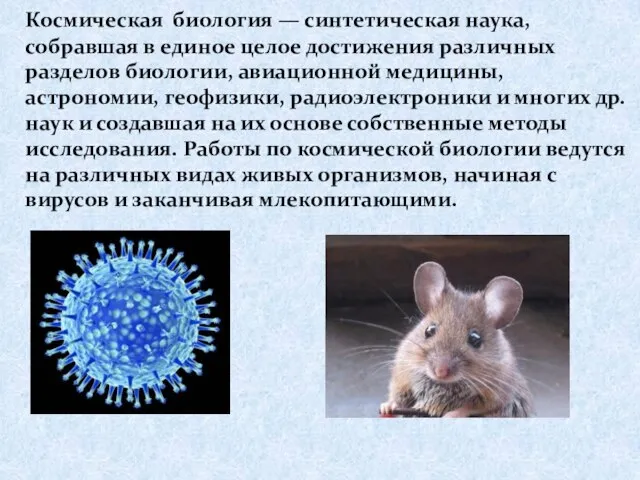 Космическая биология — синтетическая наука, собравшая в единое целое достижения различных разделов