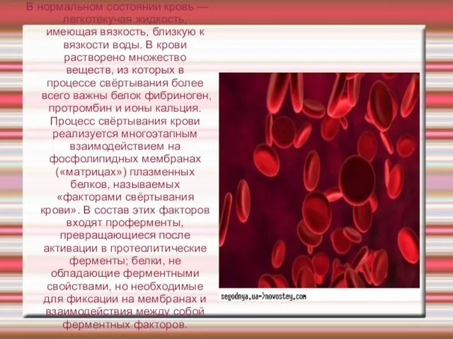 В нормальном состоянии кровь — легкотекучая жидкость, имеющая вязкость, близкую к вязкости