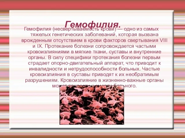 Гемофилия. Гемофилия (несвертываемость крови) — одно из самых тяжелых генетических заболеваний, которая