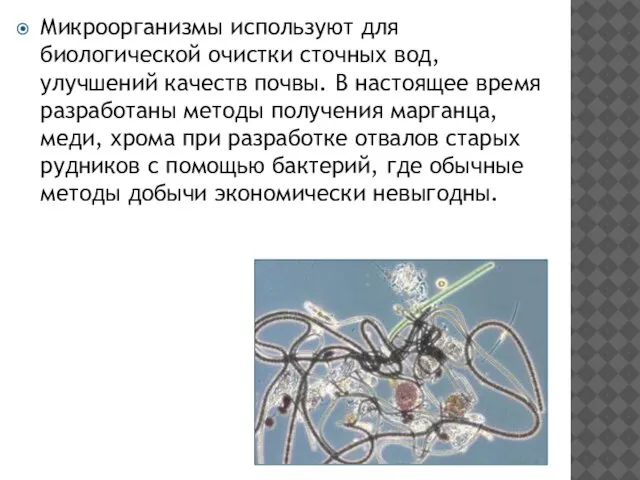 Микроорганизмы используют для биологической очистки сточных вод, улучшений качеств почвы. В настоящее