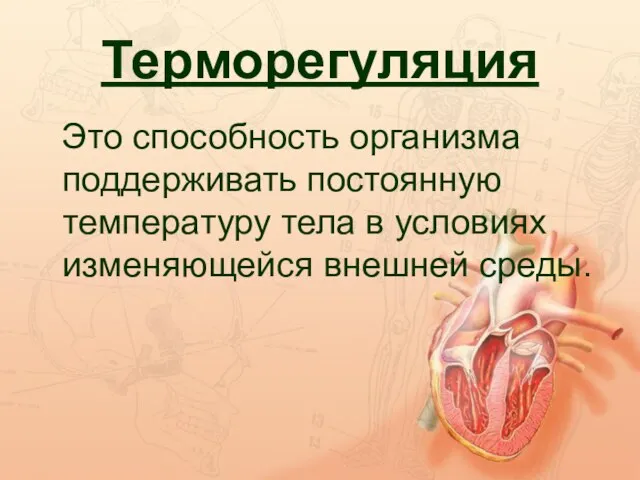 Терморегуляция Это способность организма поддерживать постоянную температуру тела в условиях изменяющейся внешней среды.