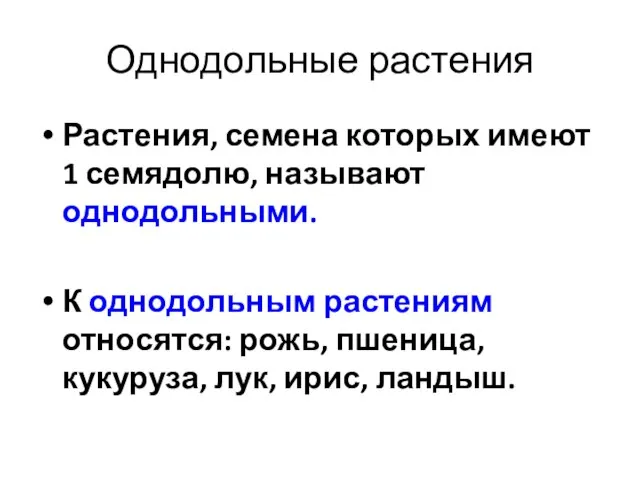 Однодольные растения Растения, семена которых имеют 1 семядолю, называют однодольными. К однодольным