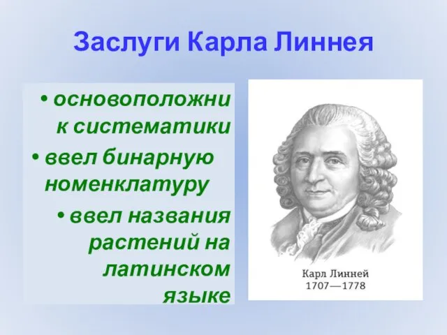 Заслуги Карла Линнея основоположник систематики ввел бинарную номенклатуру ввел названия растений на латинском языке