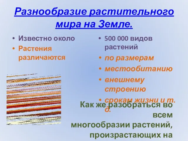 Разнообразие растительного мира на Земле. Известно около Растения различаются 500 000 видов