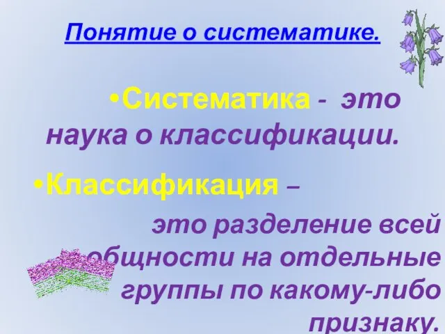 Понятие о систематике. Систематика - это наука о классификации. Классификация – это