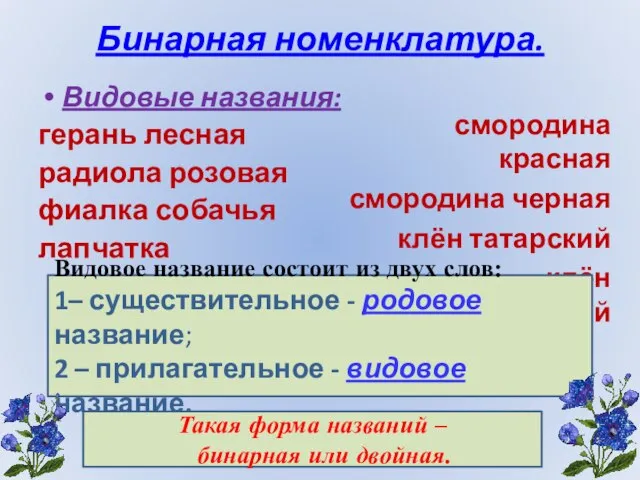 Бинарная номенклатура. Видовые названия: герань лесная радиола розовая фиалка собачья лапчатка прямостоячая