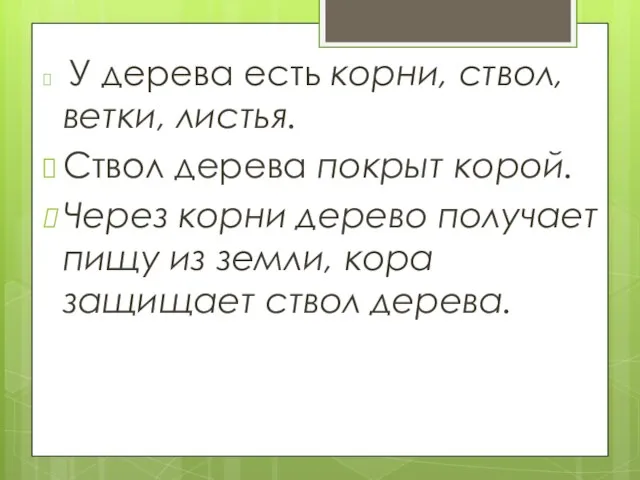 У дерева есть корни, ствол, ветки, листья. Ствол дерева покрыт корой. Через