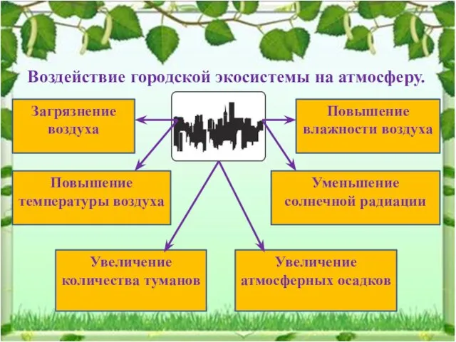 Воздействие городской экосистемы на атмосферу. Загрязнение воздуха Повышение влажности воздуха Повышение температуры