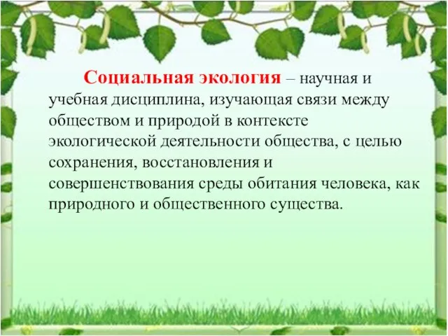 Социальная экология – научная и учебная дисциплина, изучающая связи между обществом и