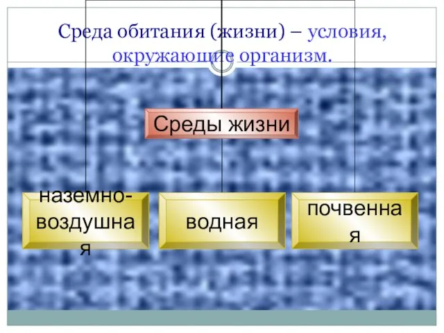 Среда обитания (жизни) – условия, окружающие организм.