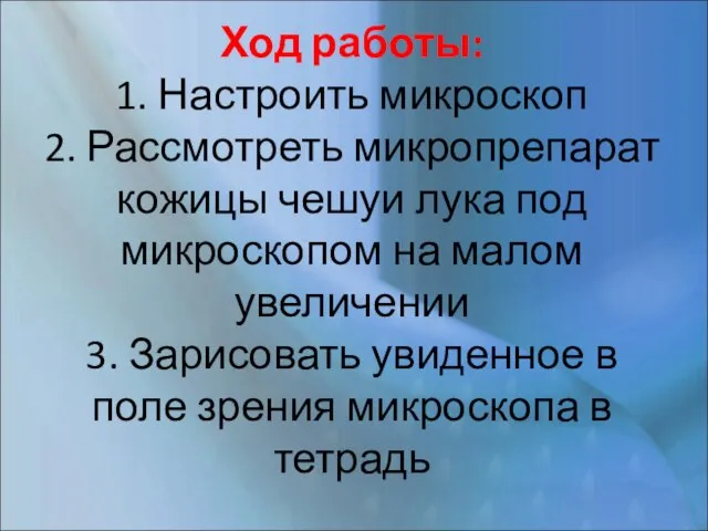 Ход работы: 1. Настроить микроскоп 2. Рассмотреть микропрепарат кожицы чешуи лука под