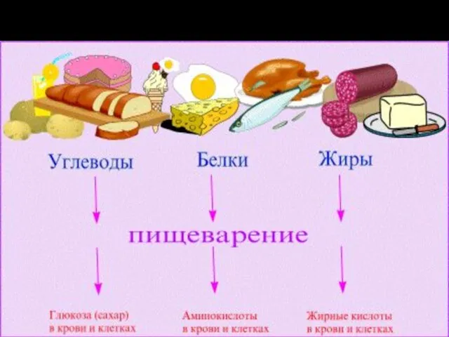 Продукты, содержащие питательные вещества