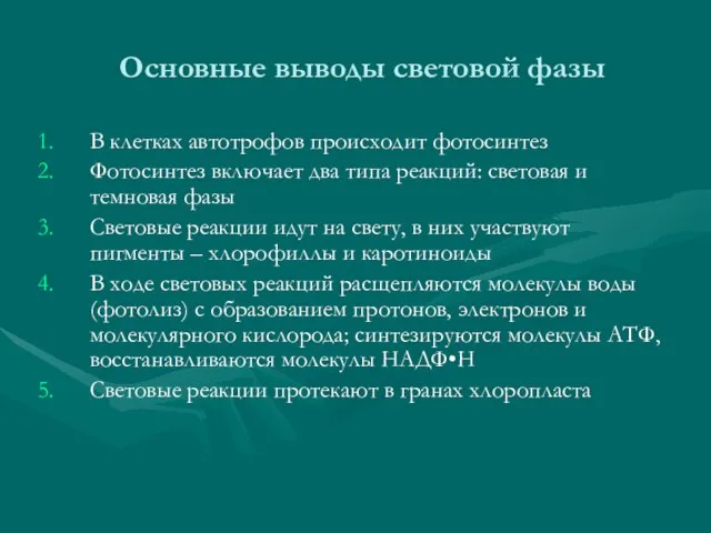 Основные выводы световой фазы В клетках автотрофов происходит фотосинтез Фотосинтез включает два