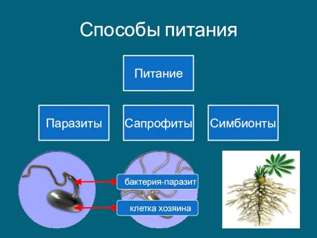 Способы питания