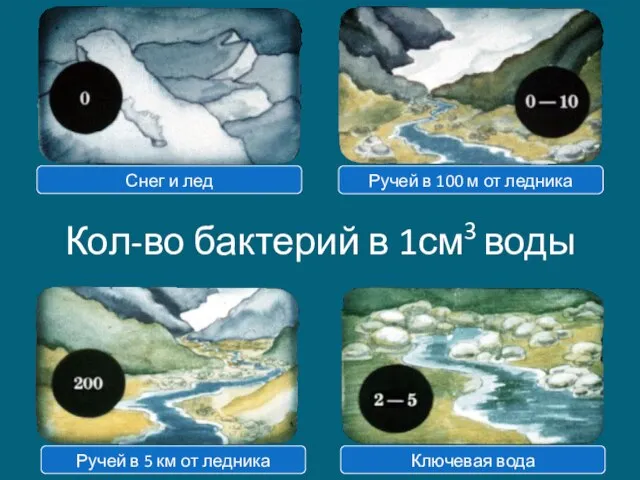 Кол-во бактерий в 1см3 воды