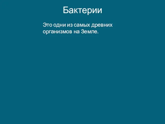 Бактерии Это одни из самых древних организмов на Земле.