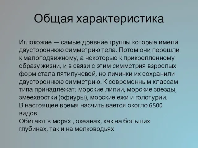 Общая характеристика Иглокожие — самые древние группы которые имели двустороннюю симметрию тела.