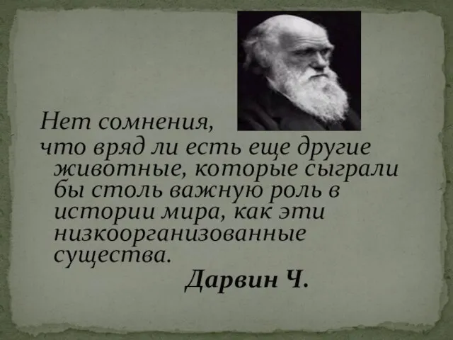 Нет сомнения, что вряд ли есть еще другие животные, которые сыграли бы