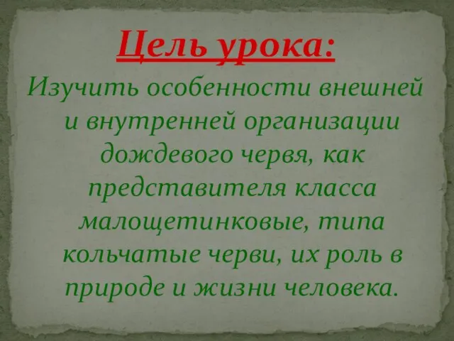 Цель урока: Изучить особенности внешней и внутренней организации дождевого червя, как представителя