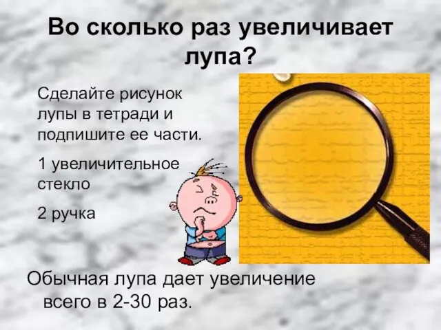 Во сколько раз увеличивает лупа? Обычная лупа дает увеличение всего в 2-30