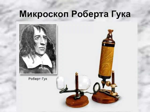 Микроскоп Роберта Гука