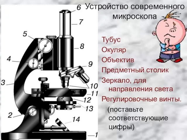 Устройство современного микроскопа Тубус Окуляр Объектив Предметный столик Зеркало, для направления света