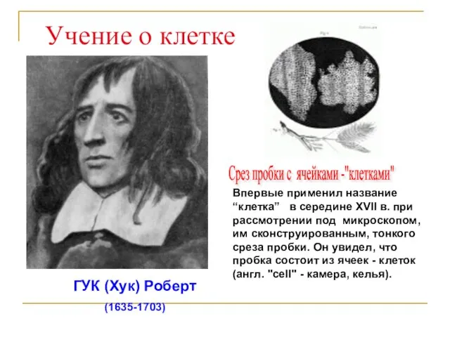 ГУК (Хук) Роберт (1635-1703) Учение о клетке