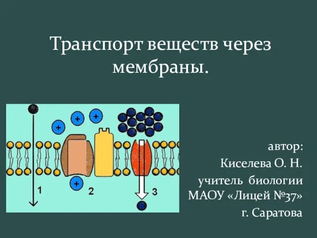 Презентация на тему Транспорт веществ через мембраны