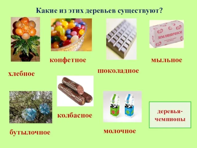 Какие из этих деревьев существуют? хлебное колбасное молочное бутылочное конфетное шоколадное мыльное деревья-чемпионы