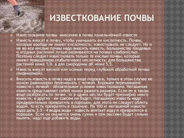 ИЗВЕСТКОВАНИЕ ПОЧВЫ Известкование почвы –внесение в почву измельчённой извести Известь вносят в