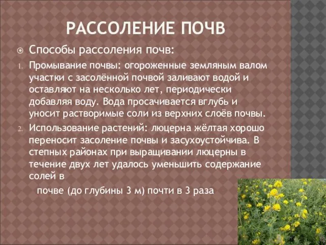 РАССОЛЕНИЕ ПОЧВ Способы рассоления почв: Промывание почвы: огороженные земляным валом участки с