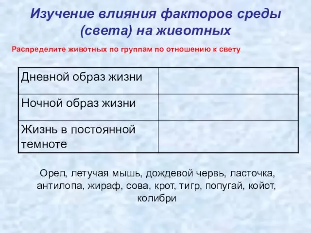 Изучение влияния факторов среды (света) на животных Распределите животных по группам по