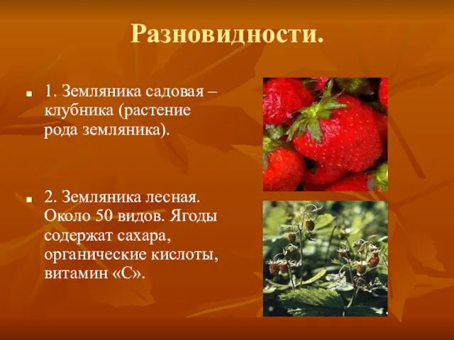 Разновидности. 1. Земляника садовая – клубника (растение рода земляника). 2. Земляника лесная.