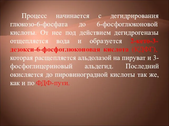 Процесс начинается с дегидрирования глюкозо-6-фосфата до 6-фосфоглюконовой кислоты. От нее под действием