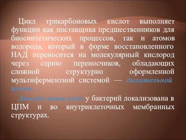 Цикл трикарбоновых кислот выполняет функции как поставщика предшественников для биосинтетических процессов, так