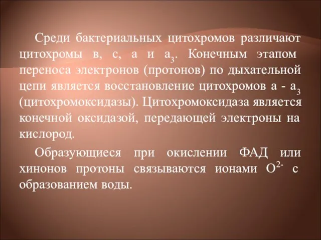 Среди бактериальных цитохромов различают цитохромы в, с, а и а3. Конечным этапом