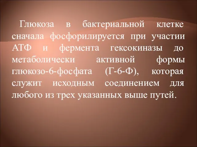 Глюкоза в бактериальной клетке сначала фосфорилируется при участии АТФ и фермента гексокиназы