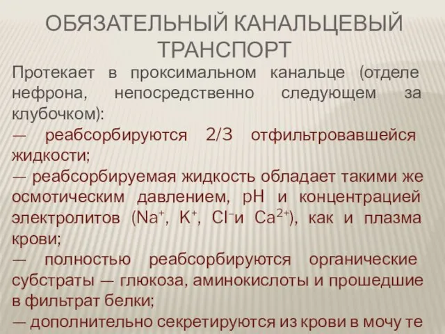 Протекает в проксимальном канальце (отделе нефрона, непосредственно следующем за клубочком): — реабсорбируются