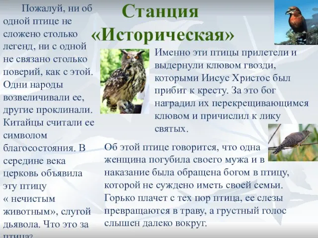 Станция «Историческая» Пожалуй, ни об одной птице не сложено столько легенд, ни