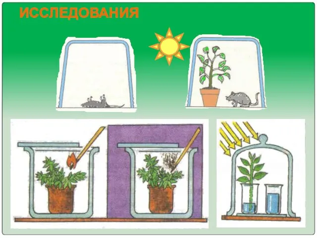 ИССЛЕДОВАНИЯ