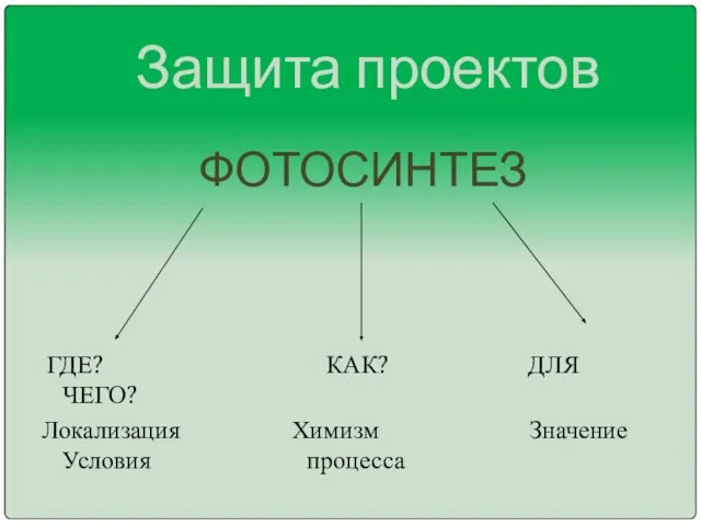 ФОТОСИНТЕЗ ГДЕ? КАК? ДЛЯ ЧЕГО? Локализация Химизм Значение Условия процесса Защита проектов