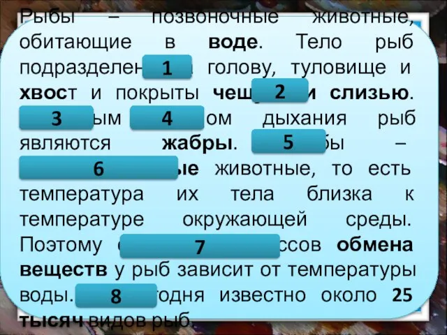 Рыбы – позвоночные животные, обитающие в воде. Тело рыб подразделено на голову,