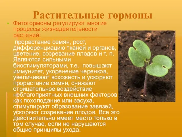 Растительные гормоны Фитогормоны регулируют многие процессы жизнедеятельности растений: прорастание семян, рост, дифференциацию