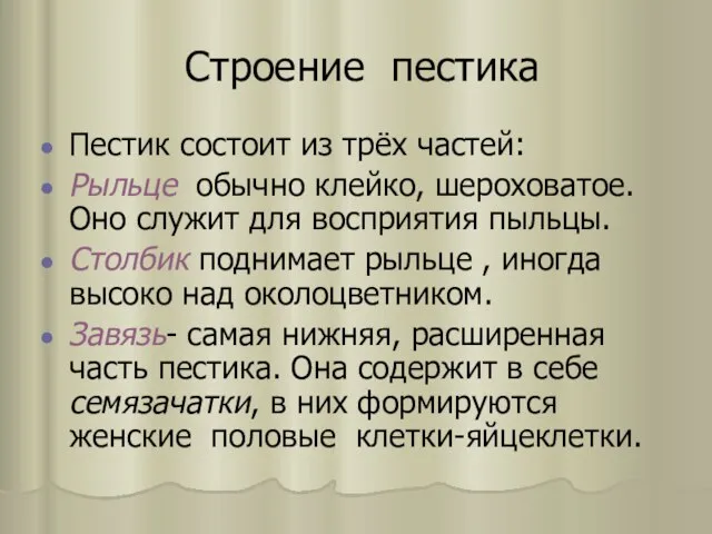 Строение пестика Пестик состоит из трёx частeй: Рыльце обычно клейко, шероxоватое. Оно