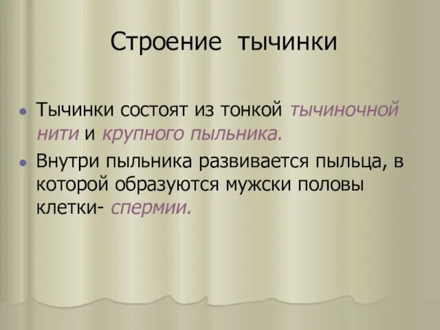 Строение тычинки Тычинки состоят из тонкой тычиночной нити и крупного пыльника. Внутри