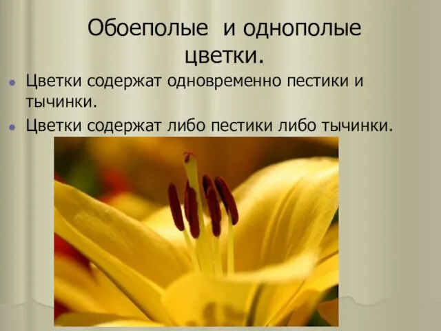 Обоеполые и однополые цветки. Цветки содержат одновременно пестики и тычинки. Цветки содержат либо пестики либо тычинки.