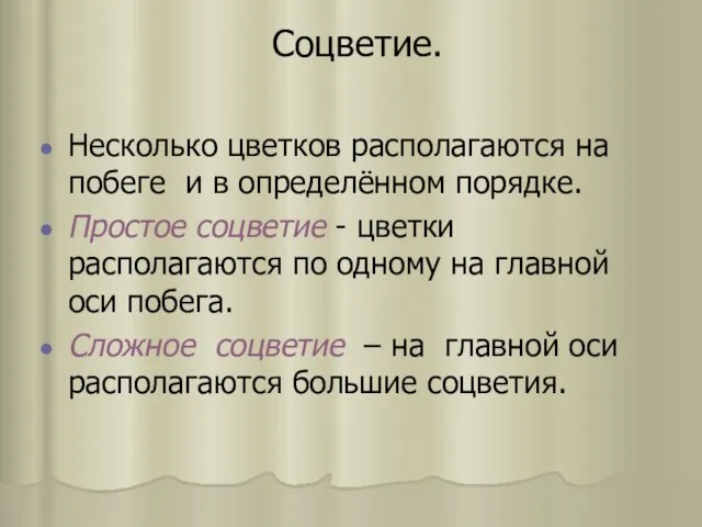 Соцветие. Hесколько цветков располагаются на побеге и в определённом порядке. Простое соцветие